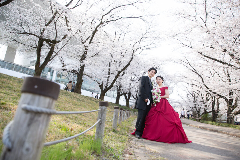 春はすぐに来るよ 期間限定 桜フォト 相談会 Studio Lavie